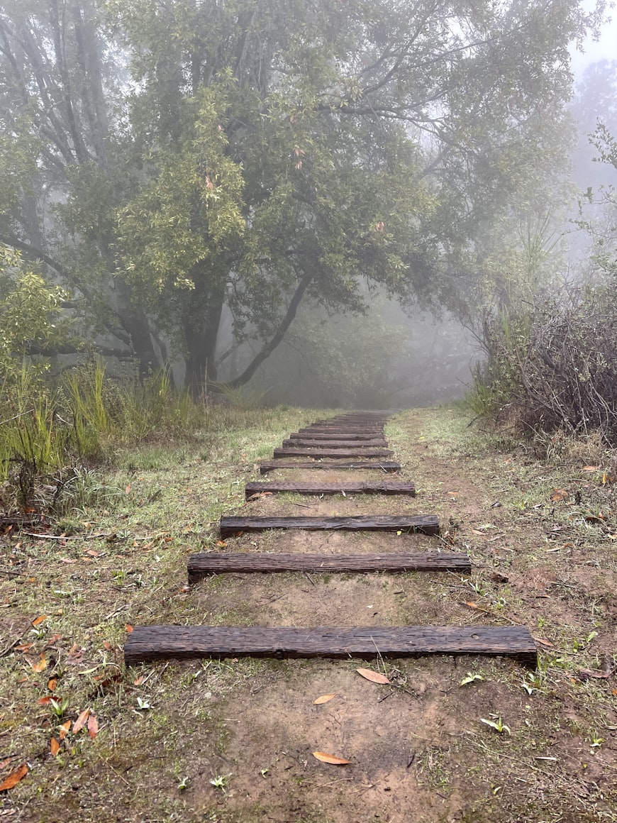 Earthy botanical abstract